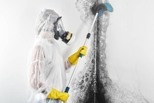 Best Emergency Mold Remediation  in Lindsay, CA