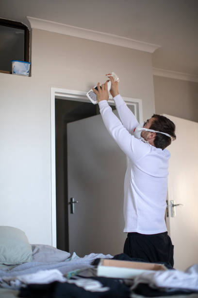 Trusted Lindsay, CA Mold Removal Experts