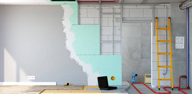 Best Black Mold Removal  in Lindsay, CA
