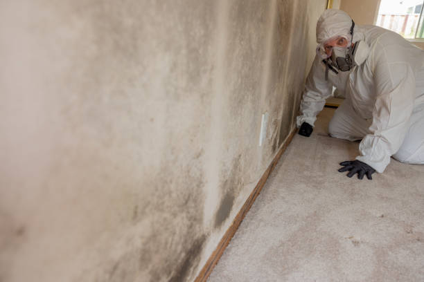 Best Mold Removal for HVAC Installations  in Lindsay, CA