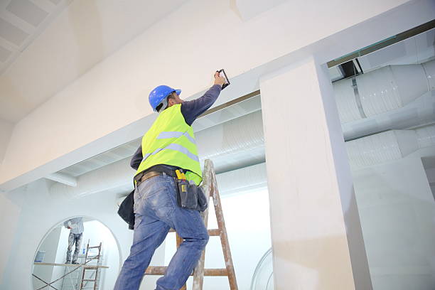 Best Environmental Consulting for Mold Prevention  in Lindsay, CA
